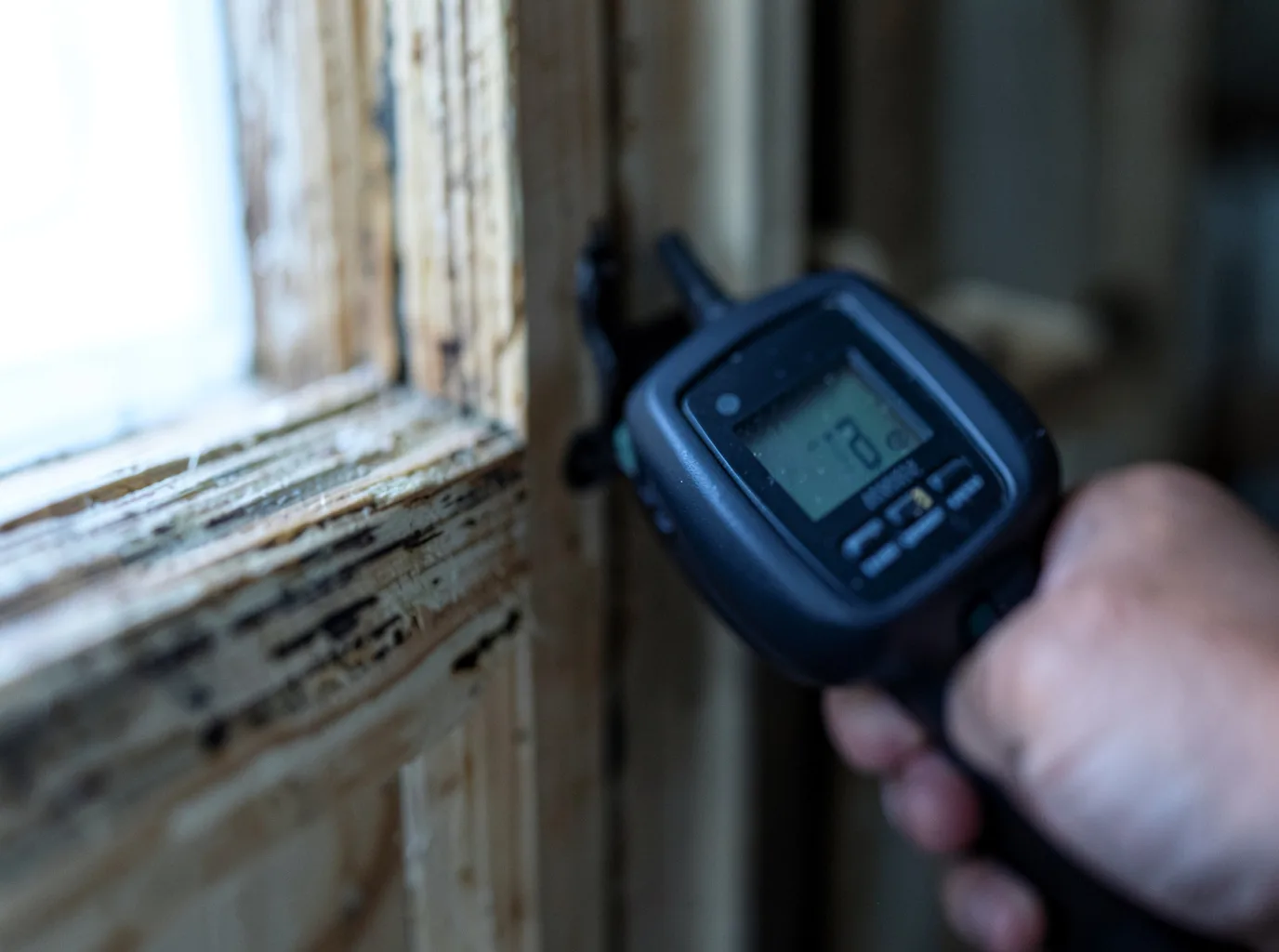 Moisture Inspection And Documentation in Carson City, NV